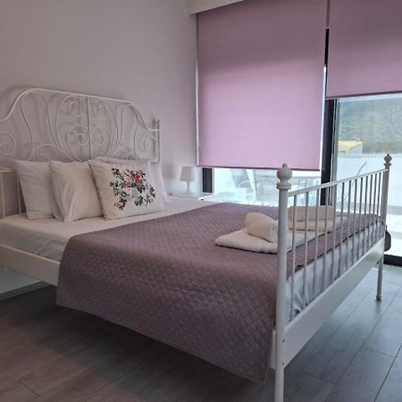 Villa Nicolas Plataria Dış mekan fotoğraf